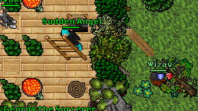 Sudden Angel on screen