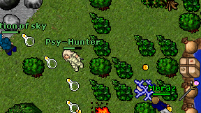 Psy-Hunter on screen