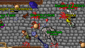Pestits'chek on screen
