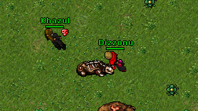 Dizzonu on screen