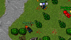 Meteco on screen
