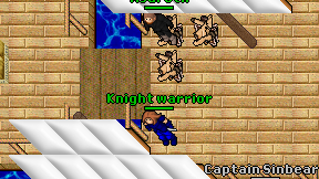 Knight warrior on screen