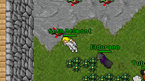 Seth Belmont on screen