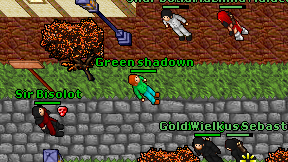Green shadown on screen