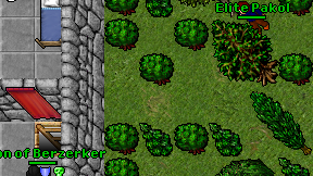 Elite Pakol on screen
