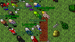 Sman Dish on screen