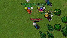 Zeninka on screen