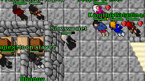 Niczszyciel on screen