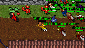 Wild Jippy on screen