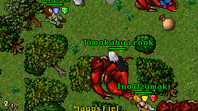 Timokahua rook on screen
