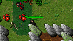 Waguininho on screen
