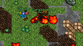 Gargonimm on screen