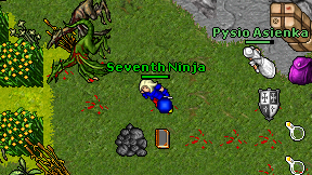 Seventh Ninja on screen