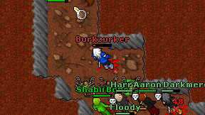 Burkzurker on screen