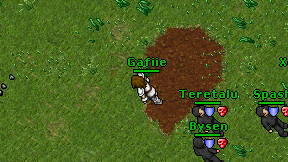 Gafiie on screen