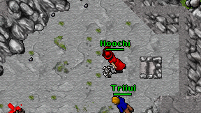 Hoochi on screen