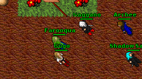 Farooqua on screen