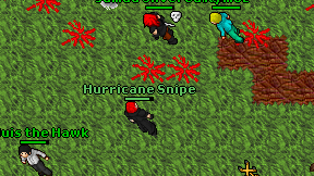 Hurricane Snipe on screen