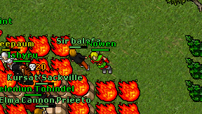 Nowen on screen