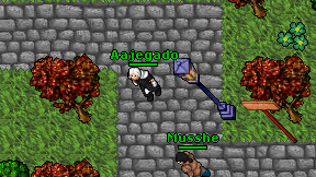 Aajegado on screen