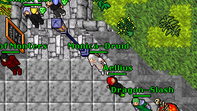 Monica-Druid on screen