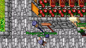 Magister Druids on screen