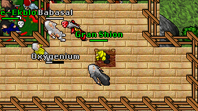 Gran Shion on screen