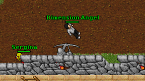 Dimension Angel on screen