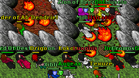Kokoos on screen