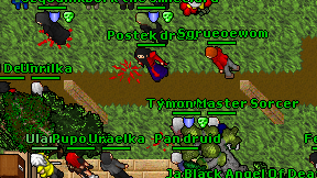 Postek druid on screen