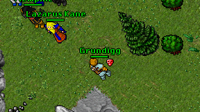Grundigg on screen