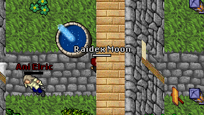 Raidex Moon on screen