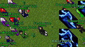 Fedayine on screen