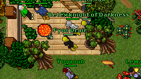 Fyon Drair on screen