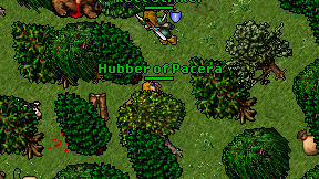 Hubber of Pacera on screen