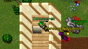 Kwasnerek on screen
