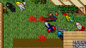 Igusiaa on screen