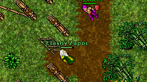 Flashy Zapoc on screen