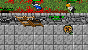 Arktronic on screen