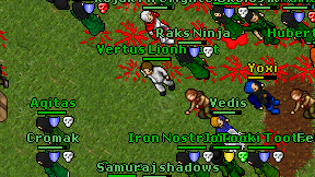 Vertus Lionheart on screen