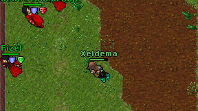 Xeldema on screen