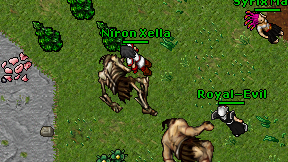 Niron Xella on screen