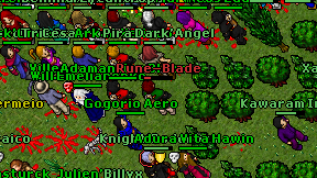 Rune-Blade on screen