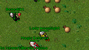 Lady moonlight on screen