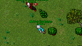 Afro Optuso on screen