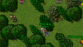 Mieiko on screen