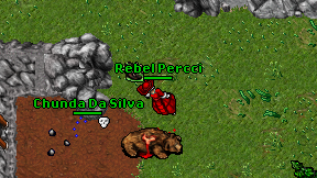 Rebel Percci on screen
