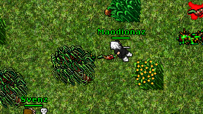 Maodionaz on screen