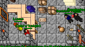 Cobra'knight on screen