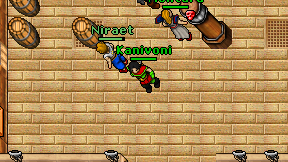 Kanivoni on screen